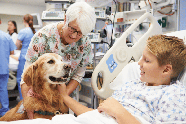 Perros asistentes terapéuticos: Transformando vidas en hospitales