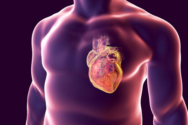 Insuficiencia Cardíaca en Jóvenes con Enfermedad Cardíaca Congénita: Un Desafío Emergente