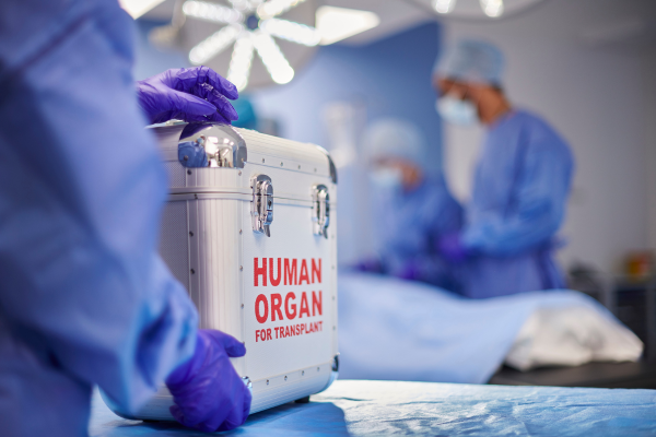 Una donación en vida salva tres vidas: NewYork-Presbyterian/Columbia realiza el primer trasplante de hígado dominó en adultos en EE. UU.