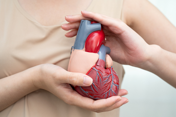 Hábitos saludables para el corazón: claves para cuidar la salud cardiovascular a largo plazo